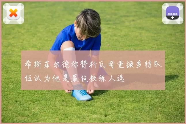 希斯菲尔德称赞科瓦奇重振多特队伍认为他是最佳教练人选